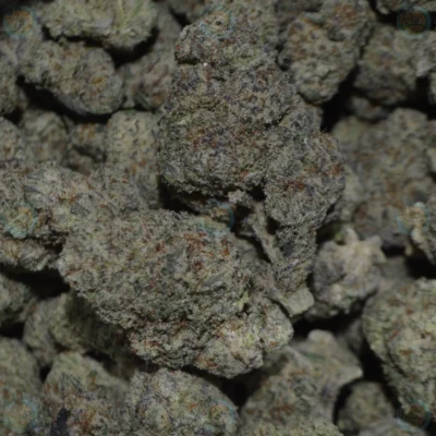 STRAWBERRY SHORTCAKE