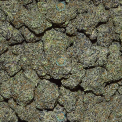 BLUEBERRY SUGAR Cannabis