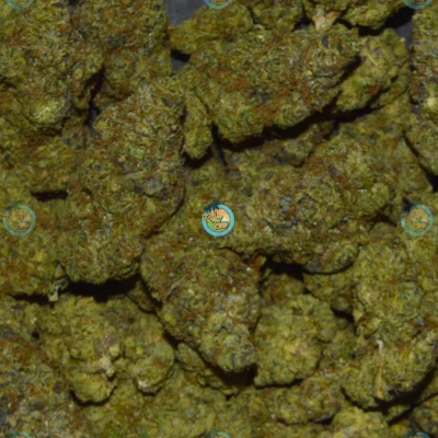 Black Maple Cannabis