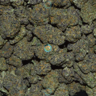 Moon Fog Cannabis