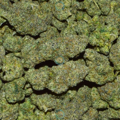 RARI RUNTZ CANNABIS