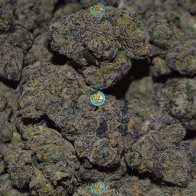 TANGIE BISCOTTI Cannabis