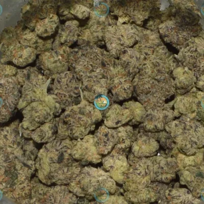 GLITTER BOMB
