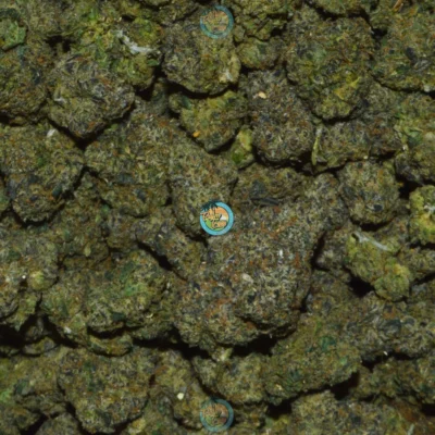 PERMANENT LEE HI Cannabis Strain