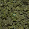 NOTORIOUS OG Cannabis