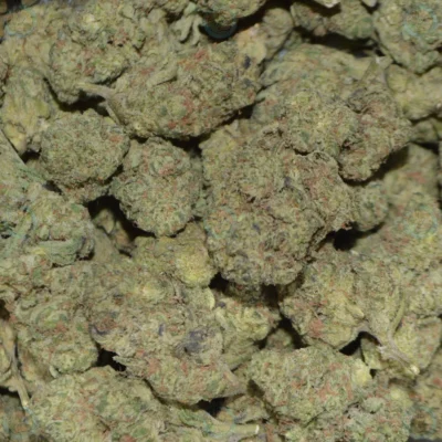 WHITE GUAVA