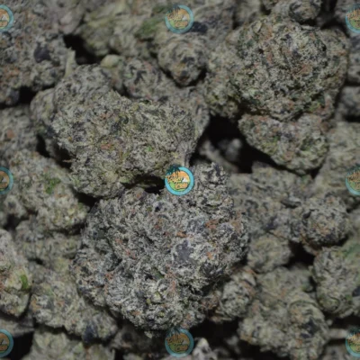LAMBO OG CANNABIS