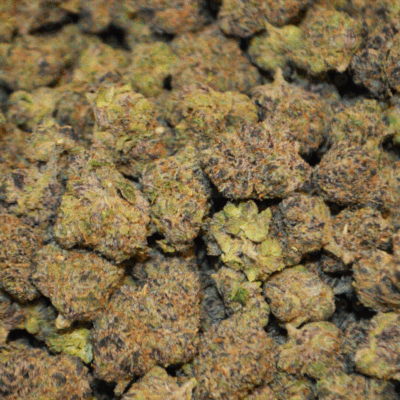 GELATO CAKE