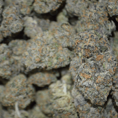 PREMIUM FLOWER