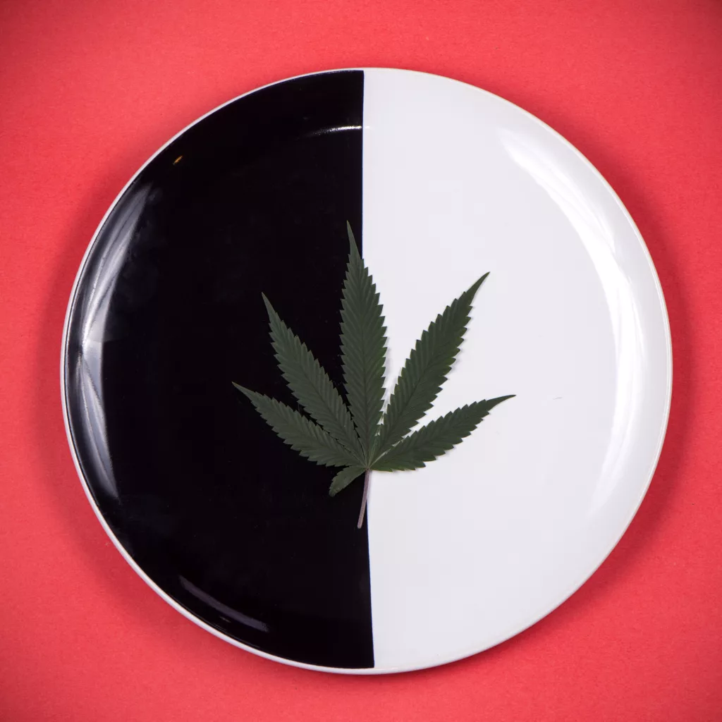 Cannabis Pairing