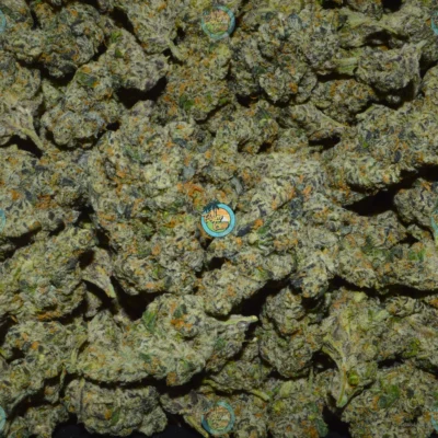Pineapple Express Cannabis Strain