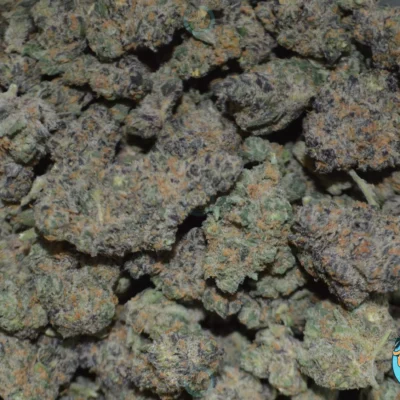 Blue Dream Cannabis