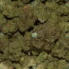 Zkittlez Cannabis