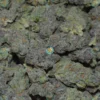 Tequila Sunrise Cannabis