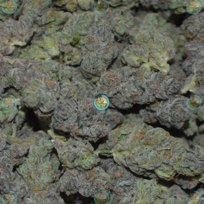 Tequila Sunrise Cannabis
