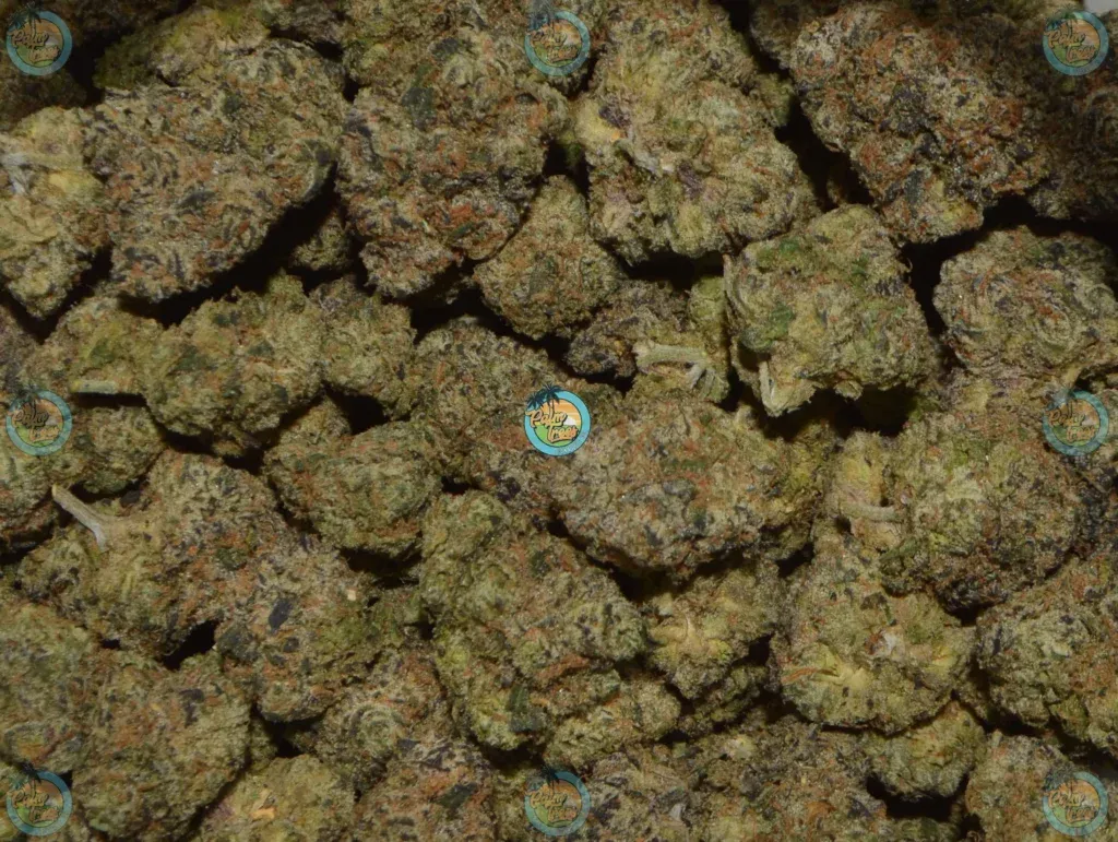 Banana Splits Cannabis in DC