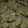 Dutch Treat Cannabis in DC