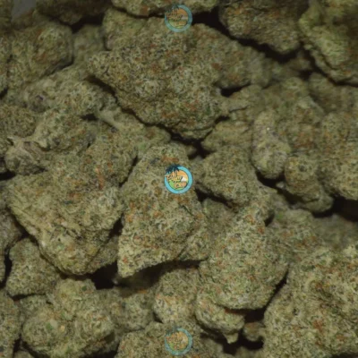 Dutch Treat Cannabis in DC