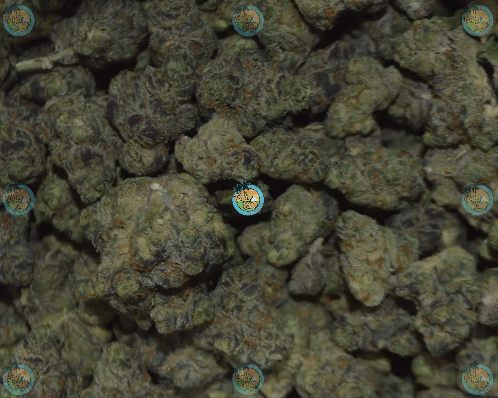 BANGERS AND MAC 1 Cannabis in DC