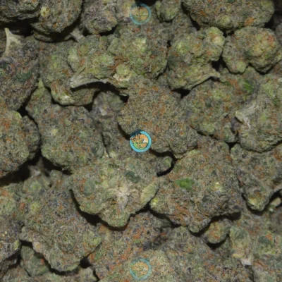 BANANA CREAM CAKE Cannabis Strain
