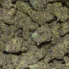 ROAD RUNNER Cannabis Strain