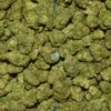 JACK BORO # 5 CANNABIS
