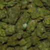 GALACTIC GRAPEFRUIT CANNABIS