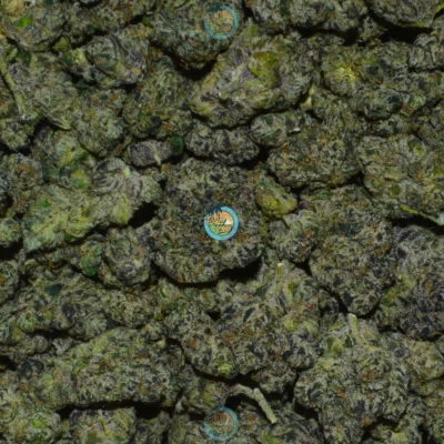 LONDON BUBBLY weed strain