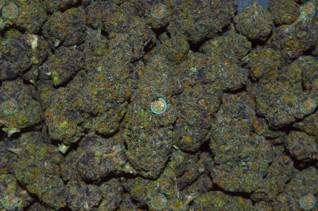 London Jelly weed strain