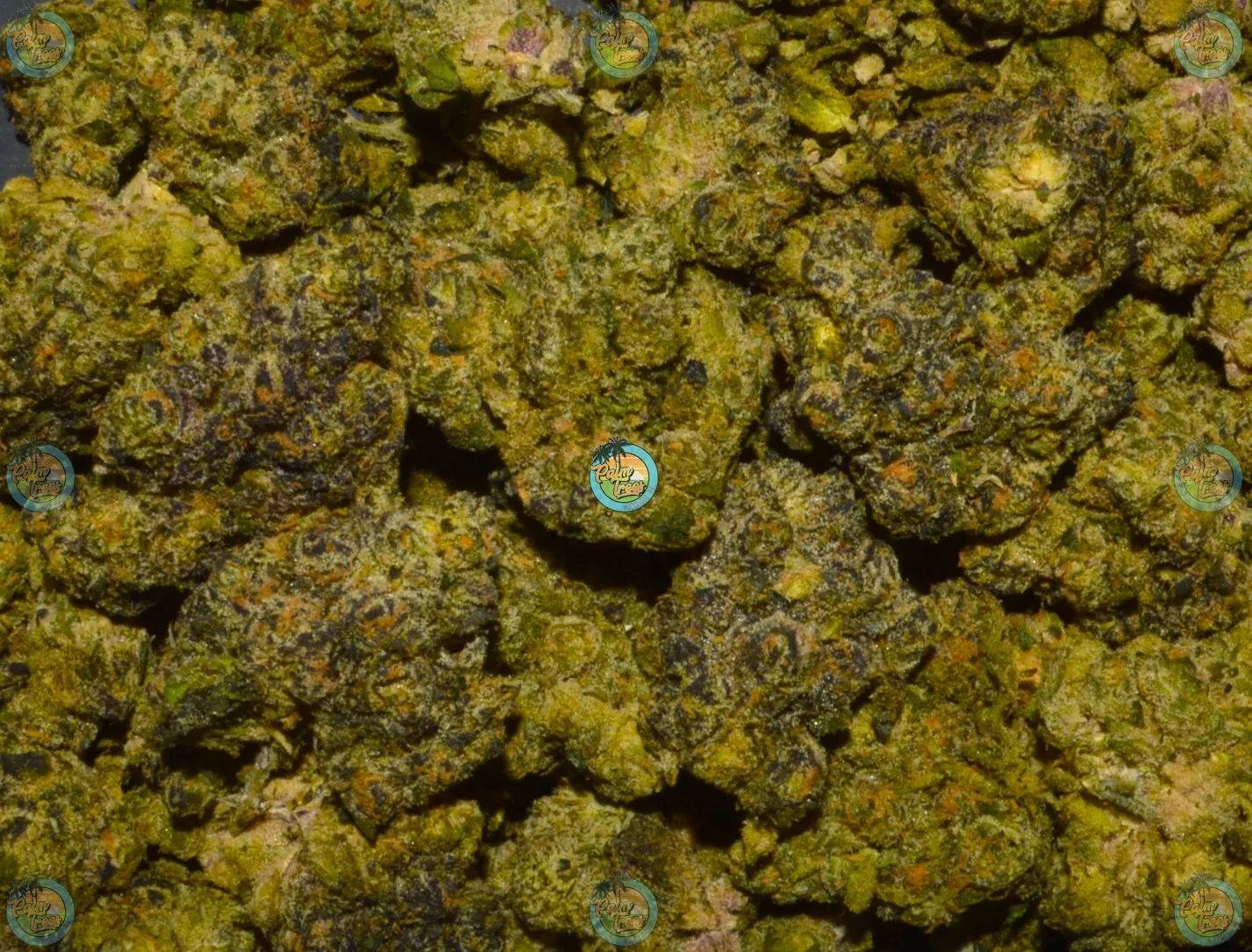 Michelin Cannabis strain