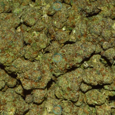 FAIRY DUST Cannabis