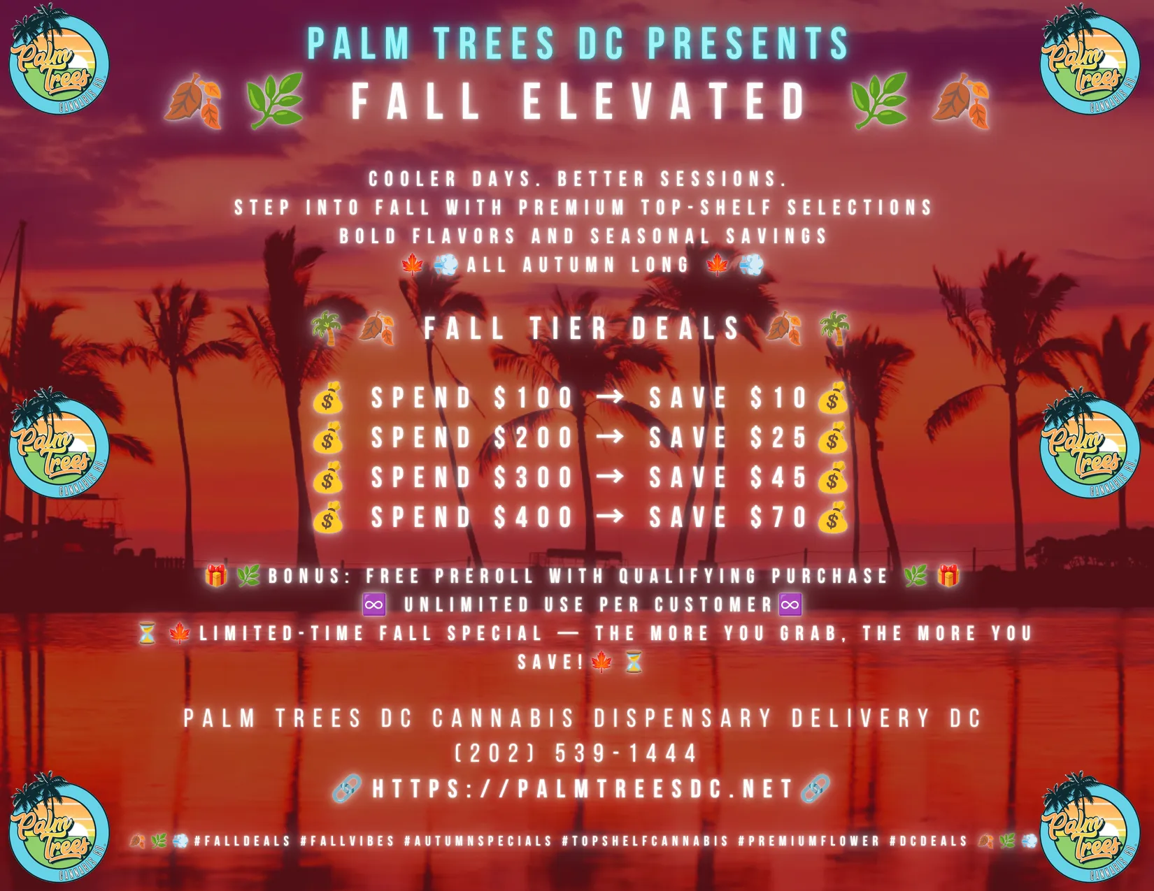 PALM TREES DC FALL ELEVATED