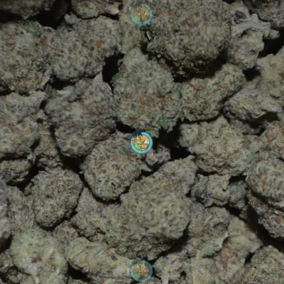 DUCT TAPE Cannabis
