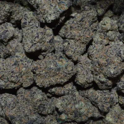 FORBIDDEN FRUIT
