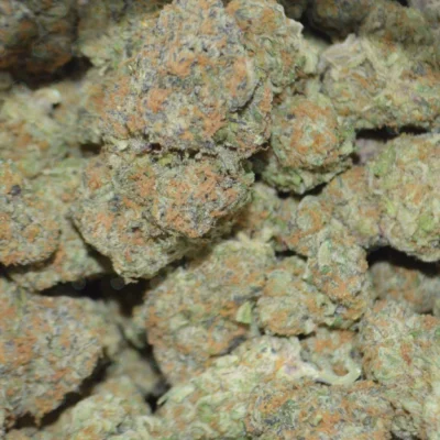Candy Land