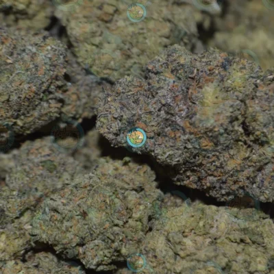 OGKB Cannabis in DC