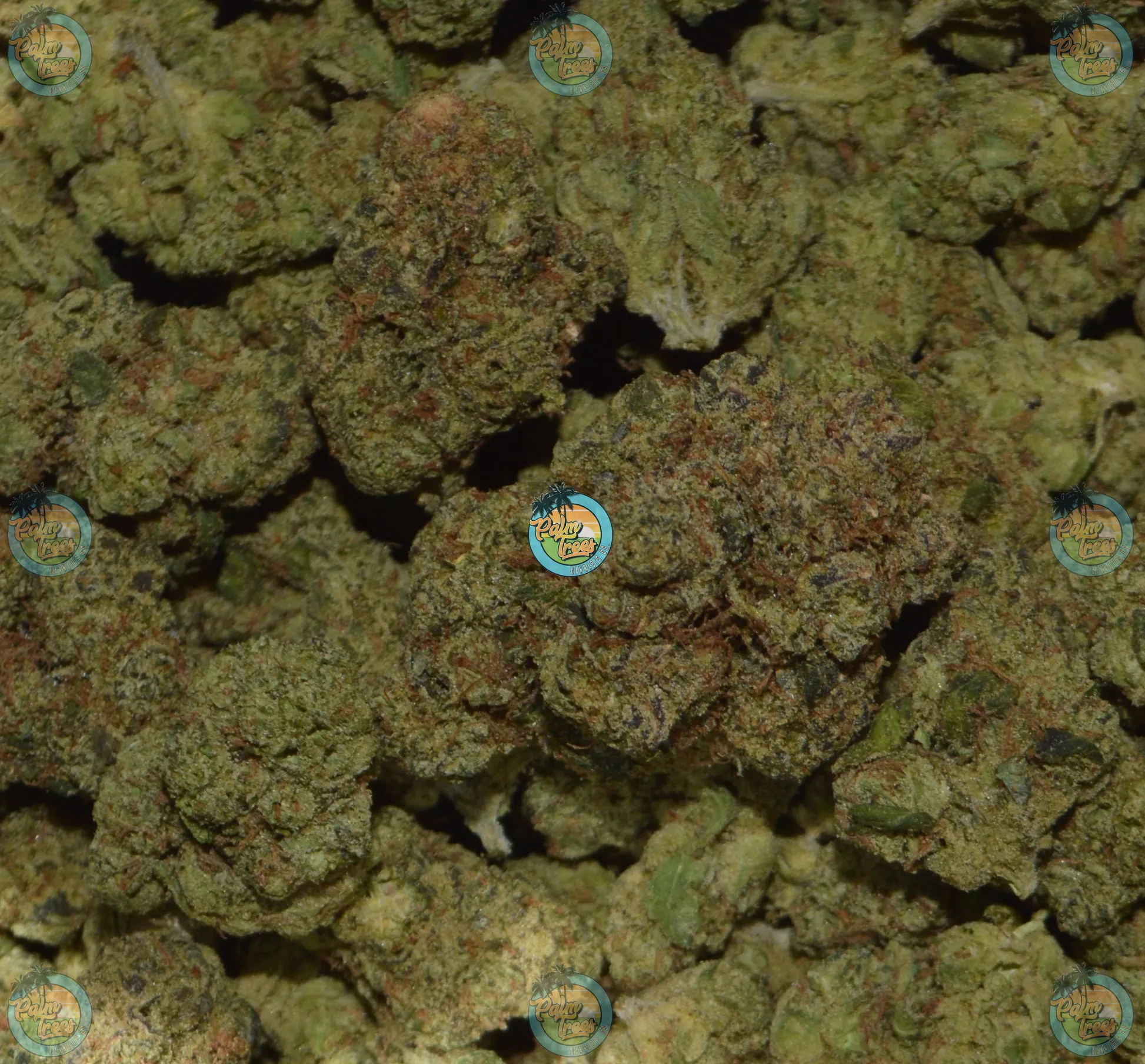 Zkittlez Cannabis