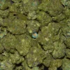 VANILLA LIME CANNABIS