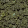MOONSHOT Cannabis Strain