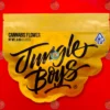 JUNGLE BOYS 20TH ANNIVERSARY