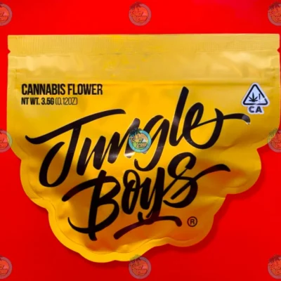 JUNGLE BOYS 20TH ANNIVERSARY
