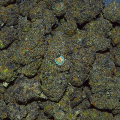 London Jelly weed strain